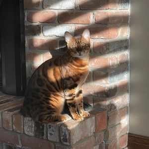 Meet your Posher, Jenny